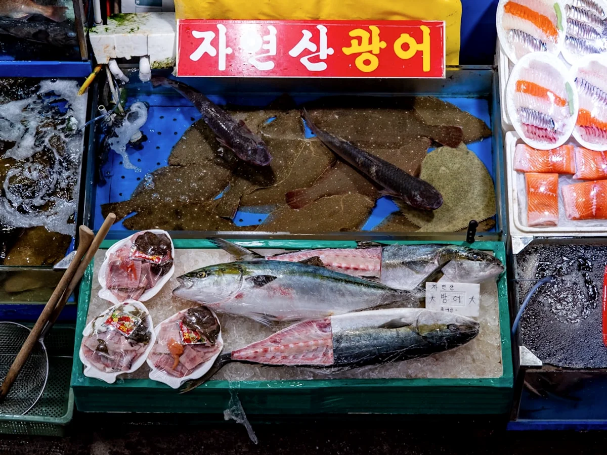 A variety of fish on display at a market in Korea